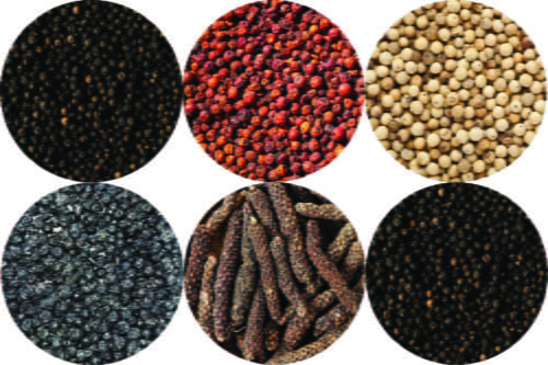 Lot 6 poivres 1 lot 6 poivres 1 e1699037251703