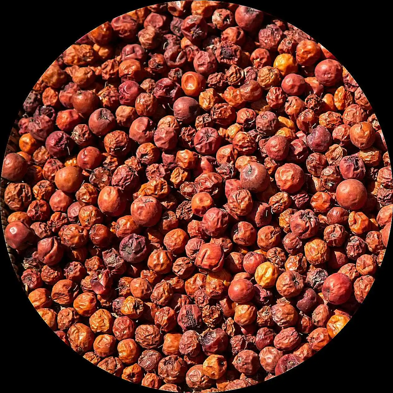 PKR Poivre rouge de Kampot – Image 1